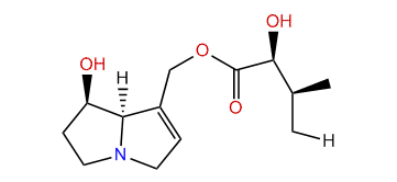 9-(2-Hydroxy-3-methylbutanoyl)-retronecine